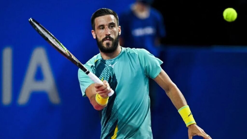 Damir Dzumhur Biography