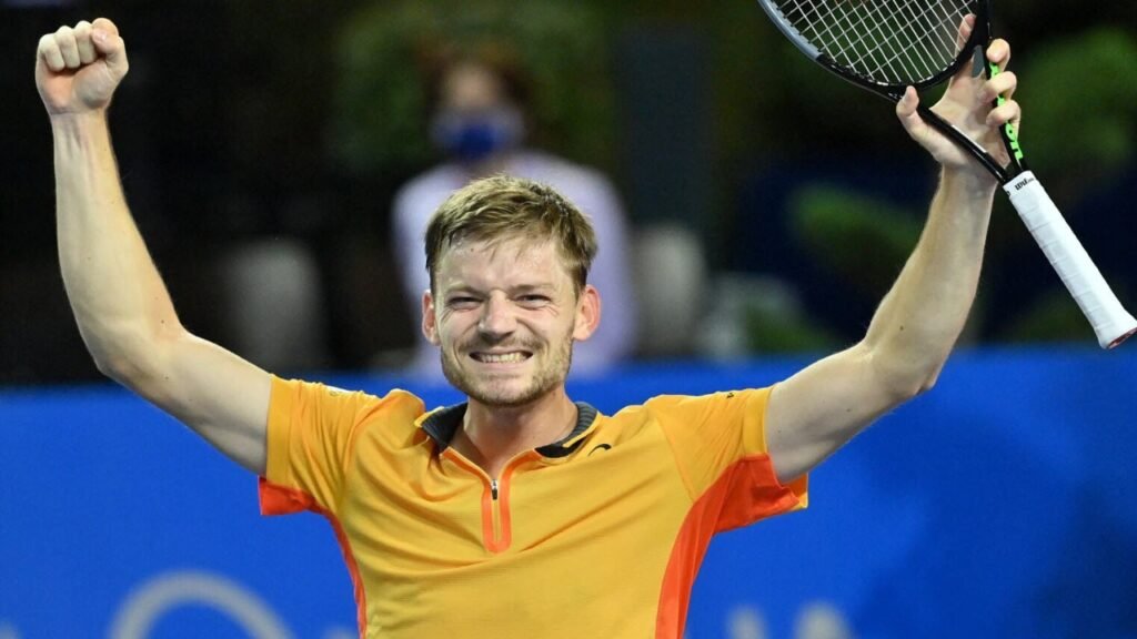 David Goffin Biography