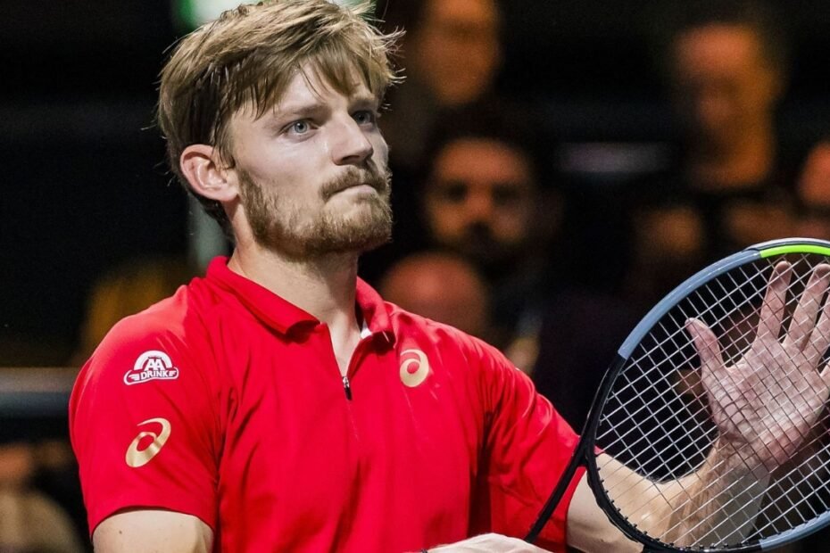 David Goffin Net Worth Details