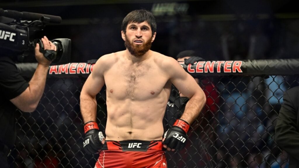 Magomed Ankalaev Biography