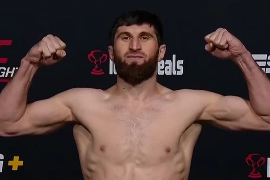 Magomed Ankalaev Net Worth Details