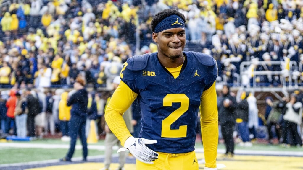 Will Johnson Biography