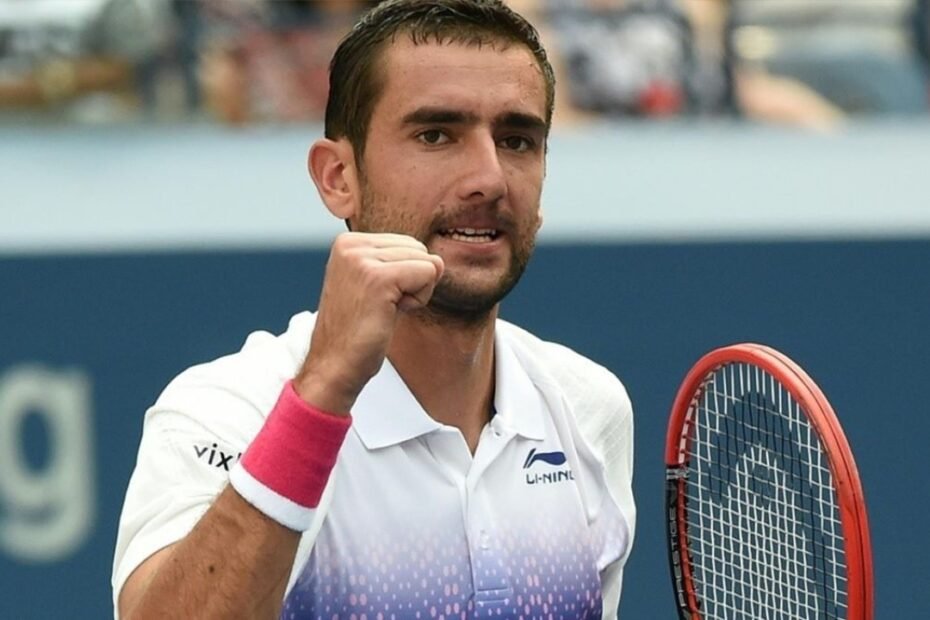 Marin Čilić Net Worth Details