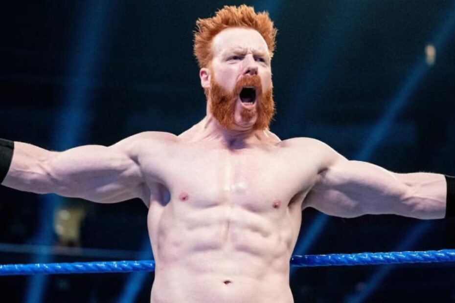 Sheamus Net Worth Details