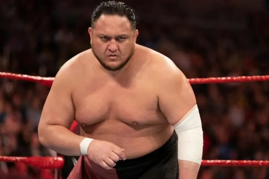 Samoa Joe Net Worth Details