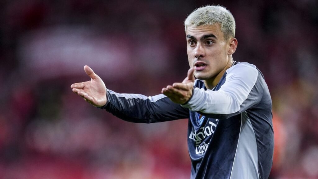 Ander Barrenetxea Biography